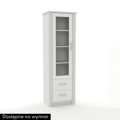 Witryna NORDEN 2S-W